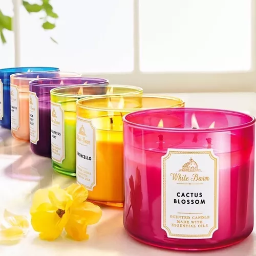 VELAS BATH AND BODY WORKS